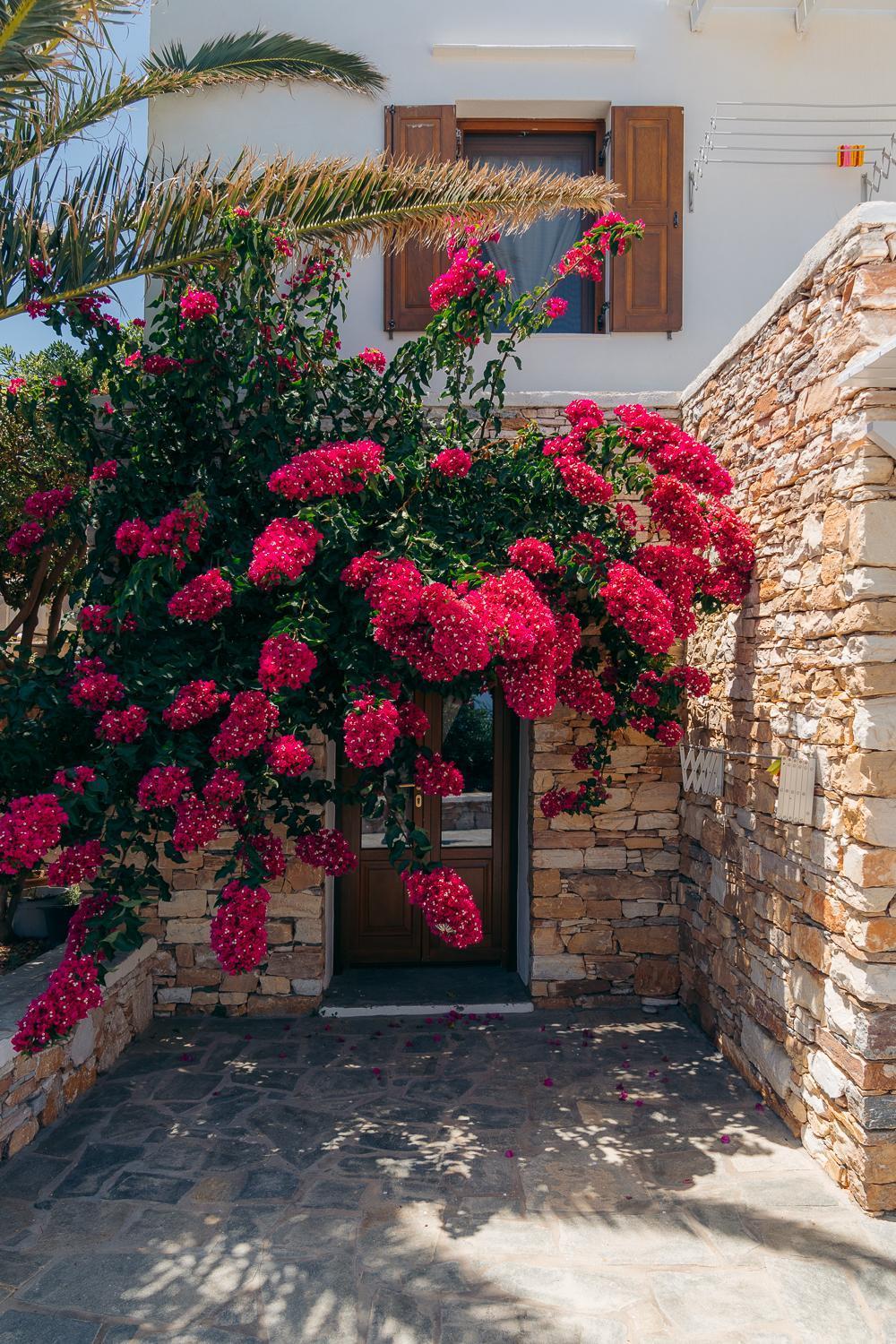 Loukia Apartments Artemonas Dış mekan fotoğraf